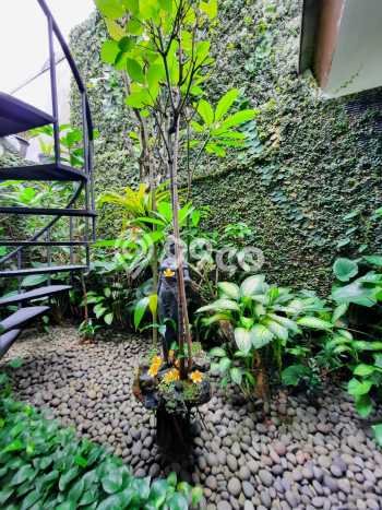 Dijual Hunian Rumah Terawat 2 Kamar di Bintaro, Tangerang Selatan Dijual Hunian Rumah Terawat 2 Kamar di Bintaro, Tangerang Selatan