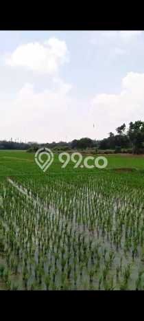Tanah untuk Dijual Lokasi Pabuaran, Subang Luas 40000m2 SHM Tanah untuk Dijual Lokasi Pabuaran, Subang Luas 40000m2 SHM