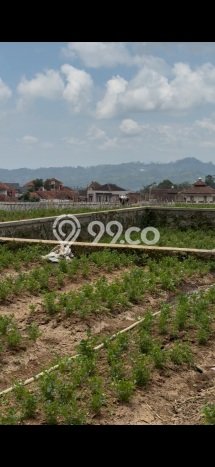 Tanah Kavling untuk Dijual di Ciwidey Bandung 540m2 Tanah Kavling untuk Dijual di Ciwidey Bandung 540m2