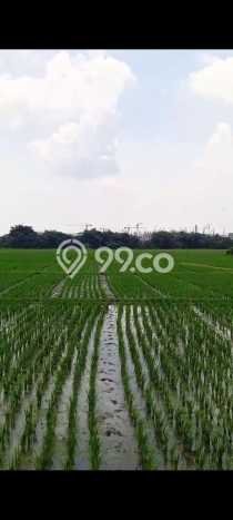 Tanah untuk Dijual Lokasi Pabuaran, Subang Luas 40000m2 SHM Tanah untuk Dijual Lokasi Pabuaran, Subang Luas 40000m2 SHM