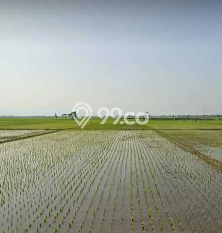 Lahan Dijual Lokasi Majalaya, Bandung dengan Luas Tanah 3500m2 dan Status AJB Lahan Dijual Lokasi Majalaya, Bandung dengan Luas Tanah 3500m2 dan Status AJB