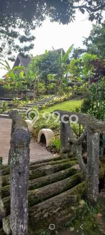 Dijual Rumah Premium dengan Fasilitas Sekitar Komplit di Ciomas, Bogor Dijual Rumah Premium dengan Fasilitas Sekitar Komplit di Ciomas, Bogor