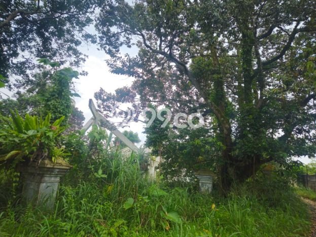 Lahan Investasi Lokasi Bogor Barat Bogor SHM Lahan Investasi Lokasi Bogor Barat Bogor SHM