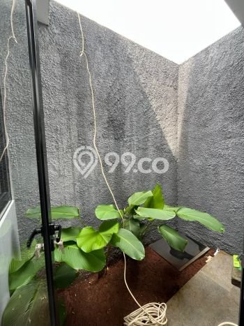 Jual Rumah Murah Meriah Sukaraja Punya 2 Kamar & LT 60m2 Jual Rumah Murah Meriah Sukaraja Punya 2 Kamar & LT 60m2