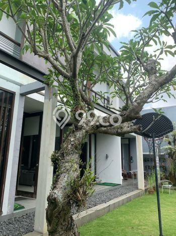 Jual Rumah Luas Megah Dengan View Cantik di Dieng, Malang Jual Rumah Luas Megah Dengan View Cantik di Dieng, Malang