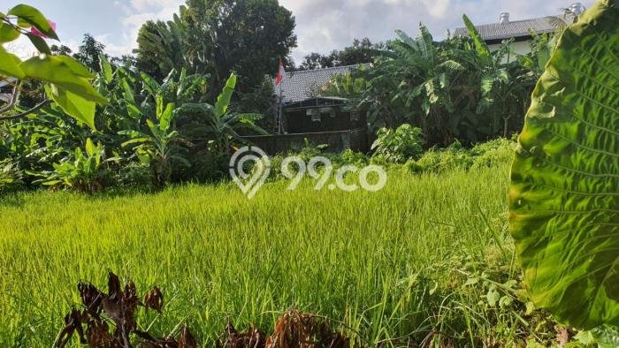 Lahan Disewakan Lokasi Canggu Badung Luas 1000m2 Lahan Disewakan Lokasi Canggu Badung Luas 1000m2