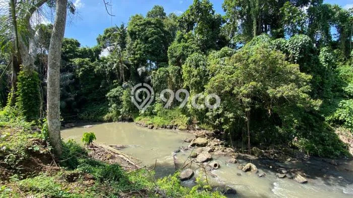 Untuk Dijual Tanah 225m2 di Bongan, Tabanan Untuk Dijual Tanah 225m2 di Bongan, Tabanan