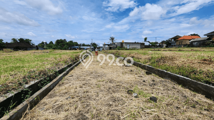 KESEMPATAN EMAS! Vila Kawasan , Luas 100m2m², Kawasan Berkembang dengan prospek naik KESEMPATAN EMAS! Vila Kawasan , Luas 100m2m², Kawasan Berkembang dengan prospek naik
