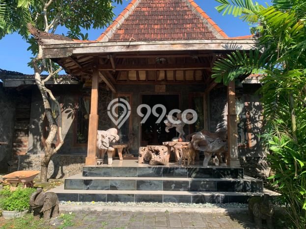 Disewakan Rumah Harga Terjangkau di Kerobokan Badung Punya 4 KT Disewakan Rumah Harga Terjangkau di Kerobokan Badung Punya 4 KT