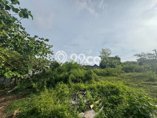 Tanah Kavling Dijual di Jimbaran, Badung dengan Luas Tanah 255m2 Tanah Kavling Dijual di Jimbaran, Badung dengan Luas Tanah 255m2