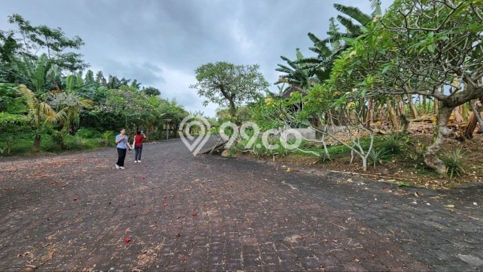 Lahan Investasi Lokasi Gianyar Gianyar SHM Lahan Investasi Lokasi Gianyar Gianyar SHM