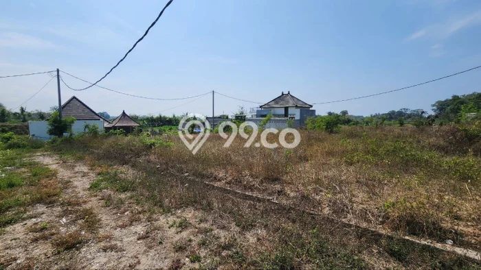 Tanah Kavling Dijual di Gianyar dengan Spesifikasi 100m2 Tanah Kavling Dijual di Gianyar dengan Spesifikasi 100m2