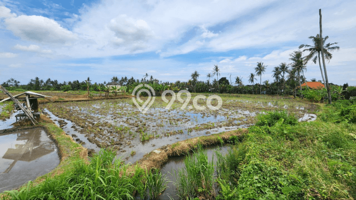 KESEMPATAN EMAS! Vila Kawasan , Luas 100m2m², Kawasan Berkembang dengan prospek naik KESEMPATAN EMAS! Vila Kawasan , Luas 100m2m², Kawasan Berkembang dengan prospek naik
