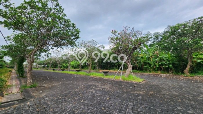 Lahan Investasi Lokasi Gianyar Gianyar SHM Lahan Investasi Lokasi Gianyar Gianyar SHM