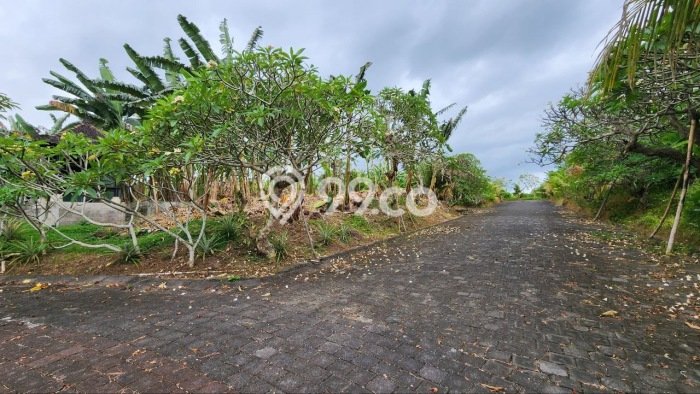 Lahan Investasi Lokasi Gianyar Gianyar SHM Lahan Investasi Lokasi Gianyar Gianyar SHM