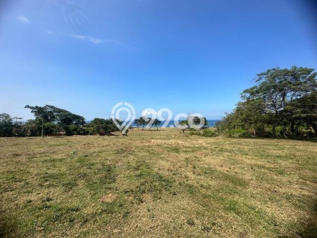 Dijual Tanah Lokasi Saba, Gianyar Seluas 500m2 Dijual Tanah Lokasi Saba, Gianyar Seluas 500m2