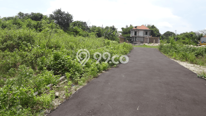 Untuk Dijual Tanah di Badung, Luas 200m2 SHM Untuk Dijual Tanah di Badung, Luas 200m2 SHM