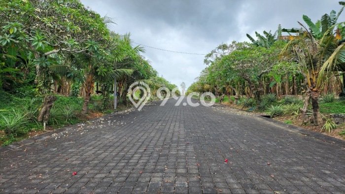 Lahan Investasi Lokasi Gianyar Gianyar SHM Lahan Investasi Lokasi Gianyar Gianyar SHM