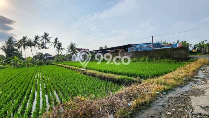 Dijual Rumah 3 Kamar Lokasi Ideal Bagus dan Strategis di Denpasar Timur Dijual Rumah 3 Kamar Lokasi Ideal Bagus dan Strategis di Denpasar Timur