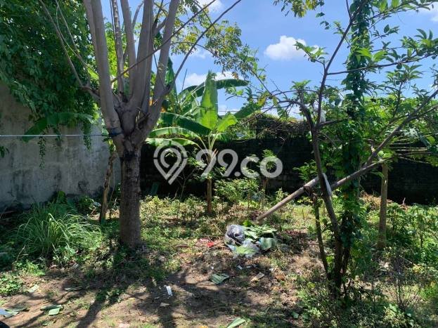 Tanah Kavling untuk Dijual di Denpasar Utara Denpasar 450m2 Tanah Kavling untuk Dijual di Denpasar Utara Denpasar 450m2