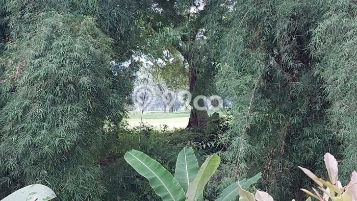 Tanah Strategis Dijual di Babakan Madang Bogor 84m2 Tanah Strategis Dijual di Babakan Madang Bogor 84m2