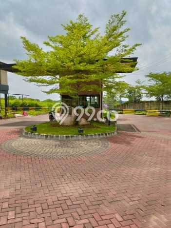 Jual Rumah Siap Huni di Parung Panjang Bogor Harga Rp 500 Juta LT 60m2 Jual Rumah Siap Huni di Parung Panjang Bogor Harga Rp 500 Juta LT 60m2