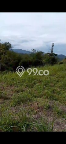 Kavling Tanah Dijual di Sukajaya Bogor Spesifikasi 2000m2 Kavling Tanah Dijual di Sukajaya Bogor Spesifikasi 2000m2