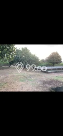 Lahan Dijual Lokasi Cibungbulang, Bogor dengan Luas Tanah 4900m2 dan Status SHM Lahan Dijual Lokasi Cibungbulang, Bogor dengan Luas Tanah 4900m2 dan Status SHM