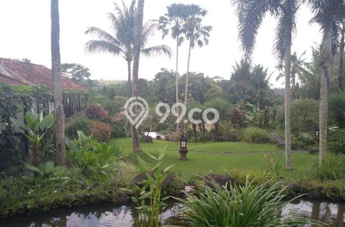 BISNIS POTENSIAL! Vila di Ubud, Area 8690m2m², Prospek Menjanjikan BISNIS POTENSIAL! Vila di Ubud, Area 8690m2m², Prospek Menjanjikan