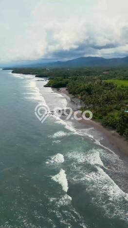Aset Potensial! Vila Kawasan , Luas 3000m2m², Area Premium dengan nilai tinggi Aset Potensial! Vila Kawasan , Luas 3000m2m², Area Premium dengan nilai tinggi