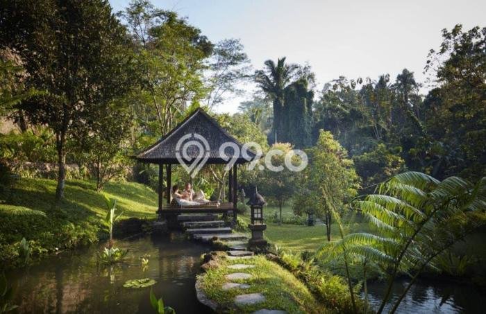 BISNIS POTENSIAL! Vila di Ubud, Area 8690m2m², Prospek Menjanjikan BISNIS POTENSIAL! Vila di Ubud, Area 8690m2m², Prospek Menjanjikan