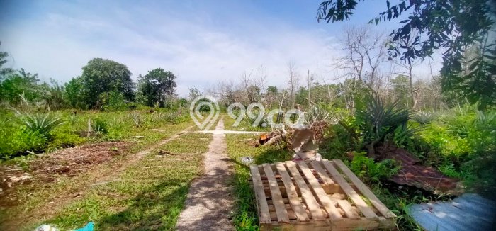 Untuk Dijual Tanah di Pontianak Selatan Pontianak Luas 371m2 SHM Untuk Dijual Tanah di Pontianak Selatan Pontianak Luas 371m2 SHM