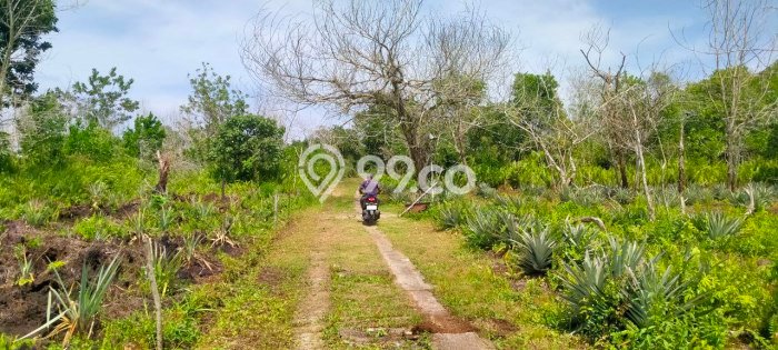 Tanah Kavling di Pontianak Selatan Dijual dengan Luas 344m2 Tanah Kavling di Pontianak Selatan Dijual dengan Luas 344m2