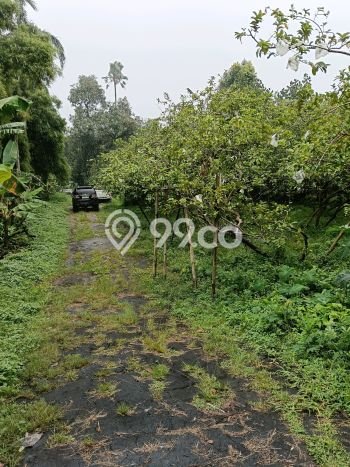 Disewakan Tanah di Jakarta Selatan, Luas 8849m2 Area Berkembang Disewakan Tanah di Jakarta Selatan, Luas 8849m2 Area Berkembang