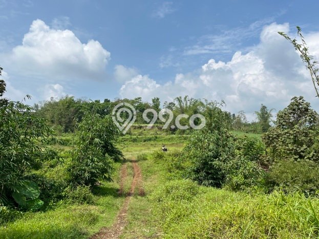 Tanah Kavling Dijual di Malang Kota, Malang dengan Luas Tanah 72m2 Tanah Kavling Dijual di Malang Kota, Malang dengan Luas Tanah 72m2