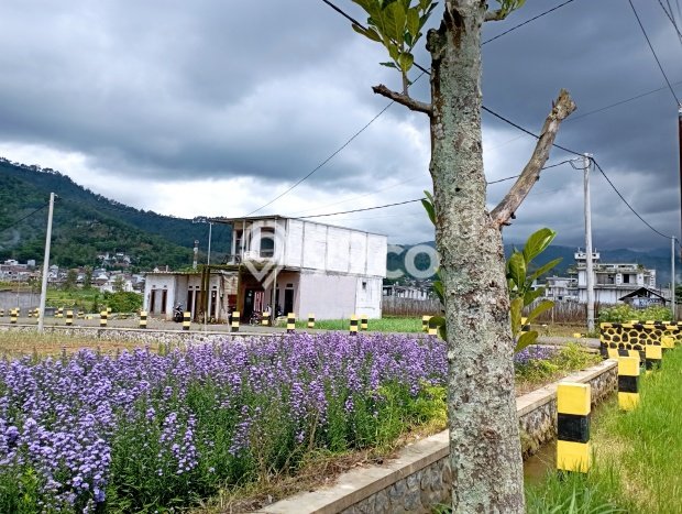 Dijual Rumah Eksklusif 3 KT di Malang Kota, Malang Dijual Rumah Eksklusif 3 KT di Malang Kota, Malang