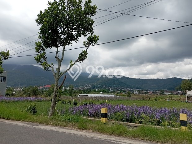 Vila di , Luas 84m2m², Posisi Strategis Vila di , Luas 84m2m², Posisi Strategis