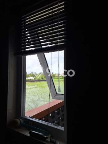 Disewakan! Rumah 1 Kamar Tidur &
1 Kamar Mandi di Sanur Kauh, Denpasar Disewakan! Rumah 1 Kamar Tidur &
1 Kamar Mandi di Sanur Kauh, Denpasar