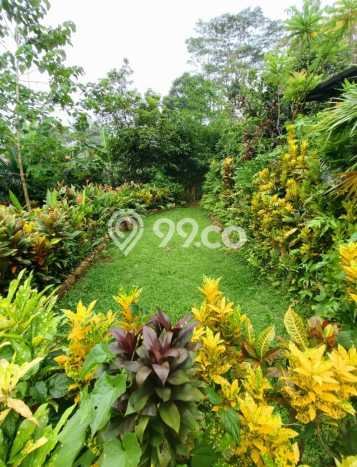 Tempat Ideal! Vila di Cibungbulang, Dimensi 1600m2m², Area Nyaman dan aman Tempat Ideal! Vila di Cibungbulang, Dimensi 1600m2m², Area Nyaman dan aman