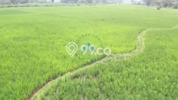Tanah untuk Dijual Lokasi Legok, Tangerang Luas 20000m2 SHM Tanah untuk Dijual Lokasi Legok, Tangerang Luas 20000m2 SHM