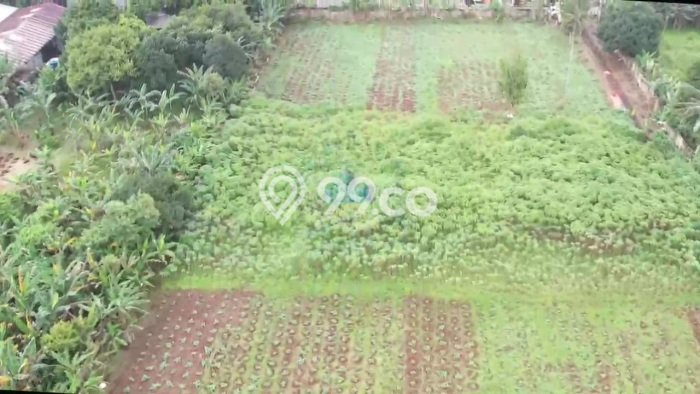 Kavling Tanah Disewakan di Cisauk Tangerang Luas 9560m2 Strategis Kavling Tanah Disewakan di Cisauk Tangerang Luas 9560m2 Strategis