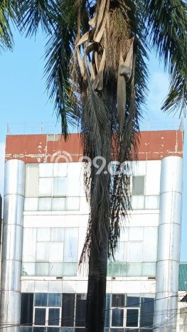 Ruko Usaha Dijual di Kelapa Gading Jakarta Utara LT 200m2 & LB 680m2 Ruko Usaha Dijual di Kelapa Gading Jakarta Utara LT 200m2 & LB 680m2