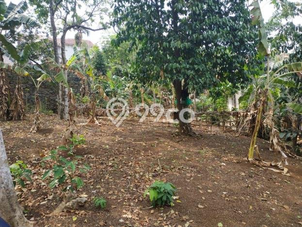 Tanah Kavling Dijual di Tanjung Barat, Jakarta Selatan dengan Luas Tanah 947m2 Tanah Kavling Dijual di Tanjung Barat, Jakarta Selatan dengan Luas Tanah 947m2