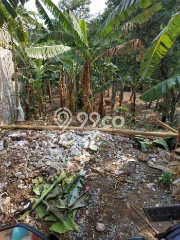 Tanah Kavling Dijual di Tanjung Barat, Jakarta Selatan dengan Luas Tanah 947m2 Tanah Kavling Dijual di Tanjung Barat, Jakarta Selatan dengan Luas Tanah 947m2