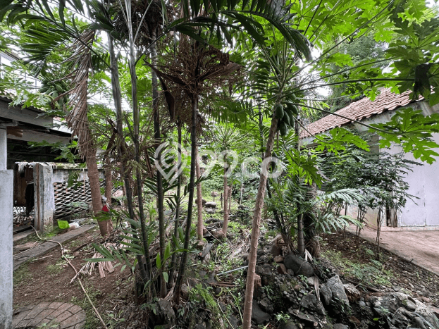 Best Deal Hunian Premium Ideal dan Luas di Menteng, Jakarta Pusat Best Deal Hunian Premium Ideal dan Luas di Menteng, Jakarta Pusat