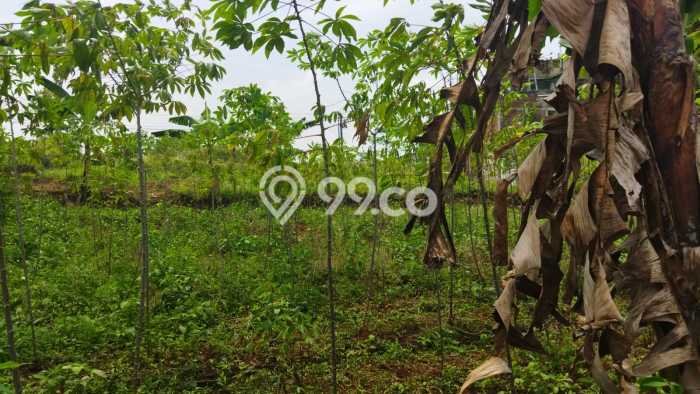 Tanah untuk Dijual Lokasi Cimahi Utara, Cimahi Luas 260m2 - Tanah untuk Dijual Lokasi Cimahi Utara, Cimahi Luas 260m2 -
