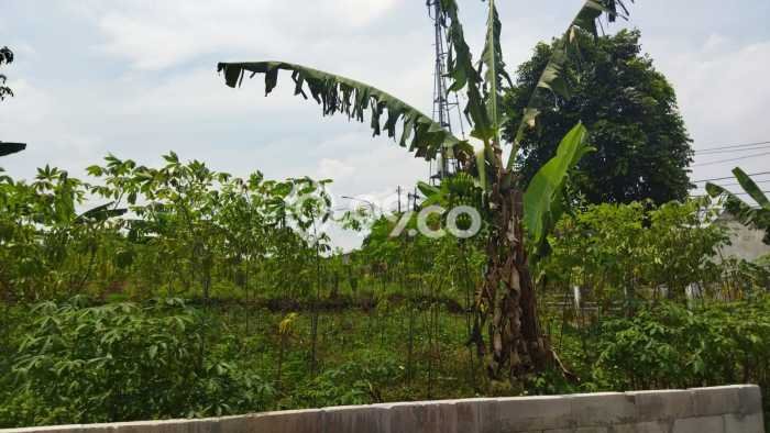 Tanah untuk Dijual Lokasi Cimahi Utara, Cimahi Luas 260m2 - Tanah untuk Dijual Lokasi Cimahi Utara, Cimahi Luas 260m2 -