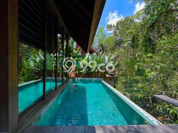 Rumah Modern Minimalis 1 Kamar Bisa Langsung Pindah di Ubud Rumah Modern Minimalis 1 Kamar Bisa Langsung Pindah di Ubud