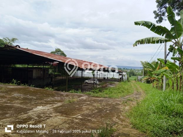 Pabrik Dijual di Jabung Malang dengan Luas Bangunan 2500m2 Pabrik Dijual di Jabung Malang dengan Luas Bangunan 2500m2