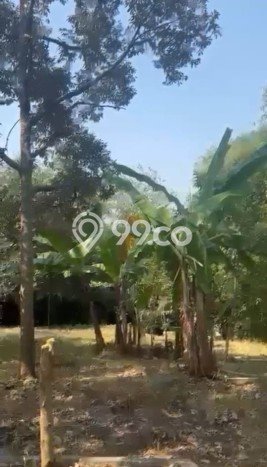 Tanah Dijual Lokasi Sukaluyu, Cianjur Luas 3710m2 Legalitas Aman Tanah Dijual Lokasi Sukaluyu, Cianjur Luas 3710m2 Legalitas Aman